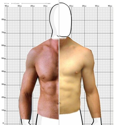 Torso Comparison