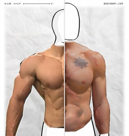 Torso Comparison