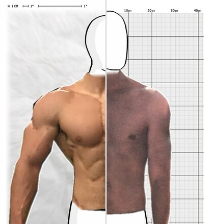 Torso Comparison