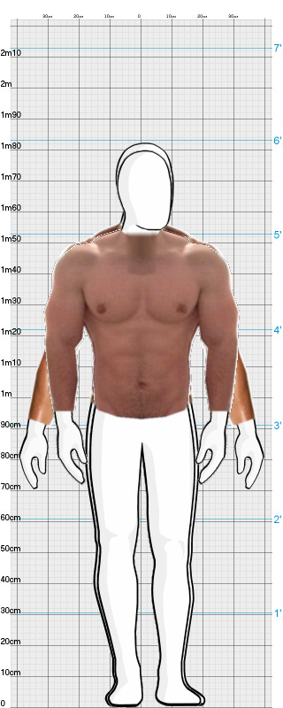 Full Size Comparison