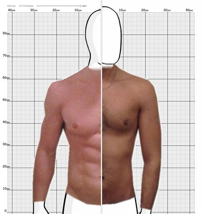 Torso Comparison