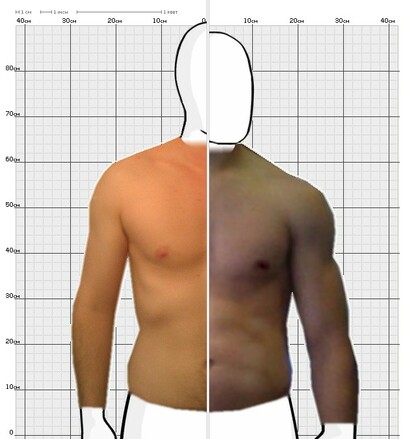 Torso Comparison