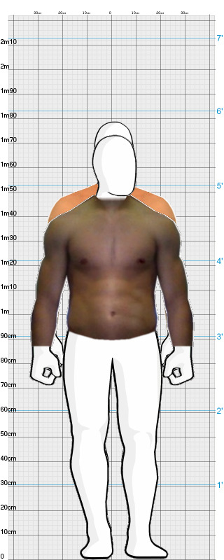 Full Size Comparison