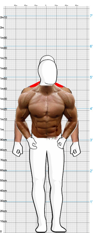 Full Size Comparison