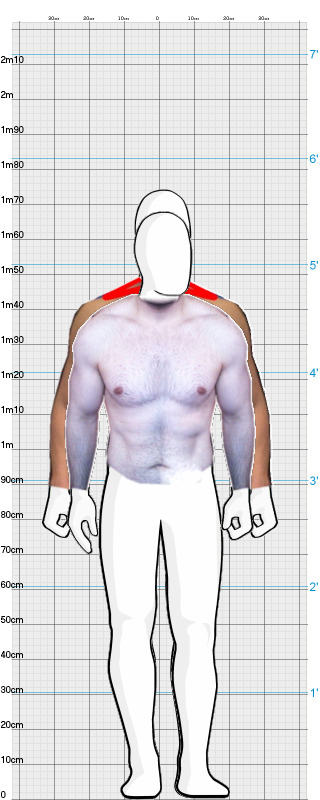 Full Size Comparison