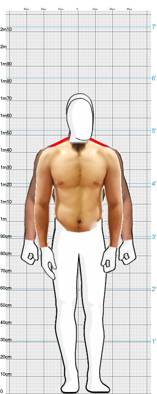 Full Size Comparison