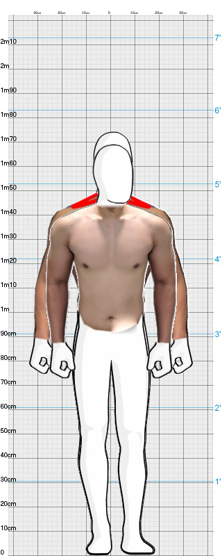 Full Size Comparison