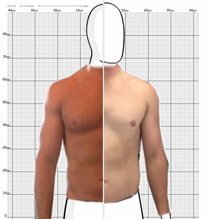 Torso Comparison