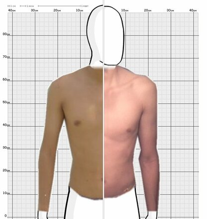 Torso Comparison