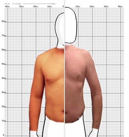 Torso Comparison