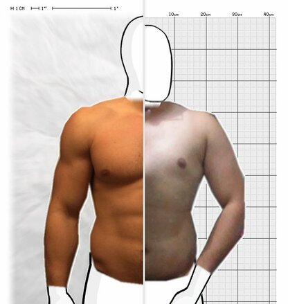 Torso Comparison