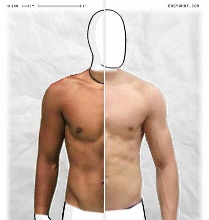 Torso Comparison