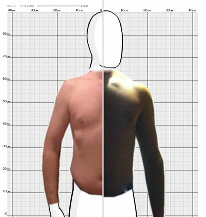 Torso Comparison