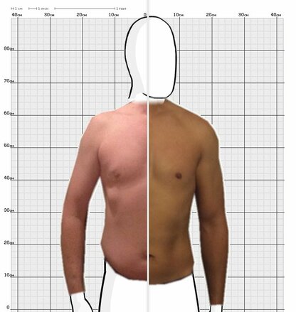 Torso Comparison