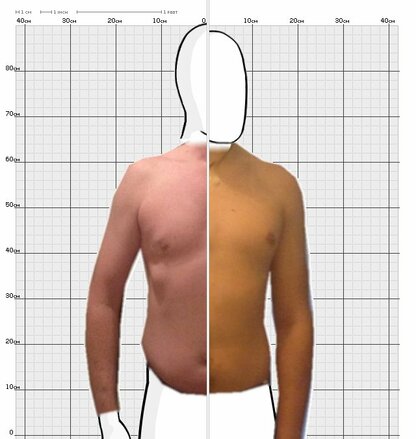 Torso Comparison