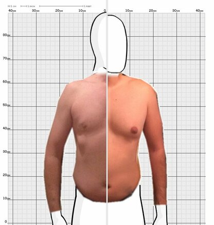 Torso Comparison