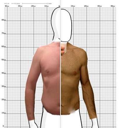 Torso Comparison