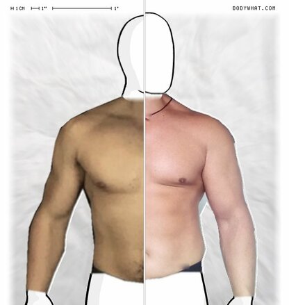 Torso Comparison