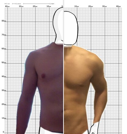 Torso Comparison