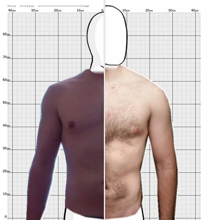 Torso Comparison