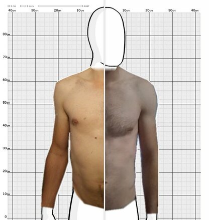 Torso Comparison