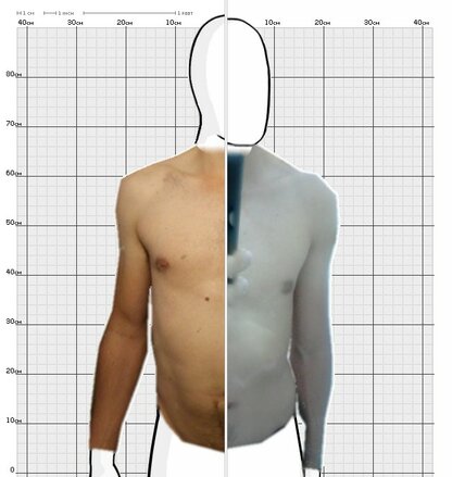 Torso Comparison