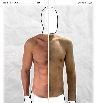 Torso Comparison