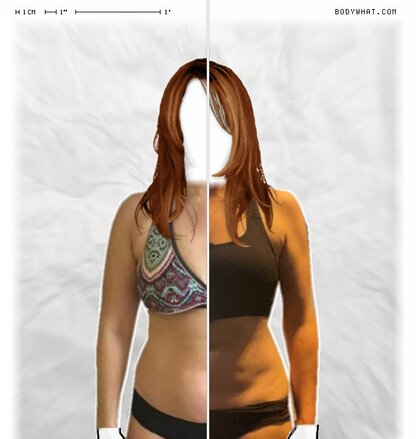 Torso Comparison