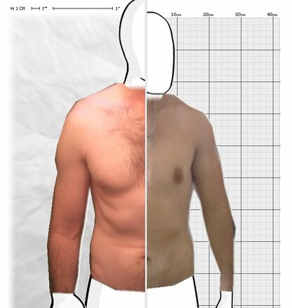 Torso Comparison