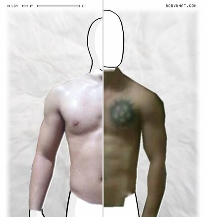 Torso Comparison