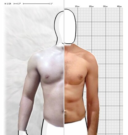 Torso Comparison