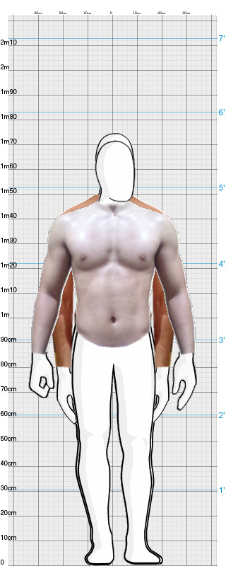 Full Size Comparison