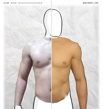 Torso Comparison