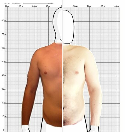 Torso Comparison