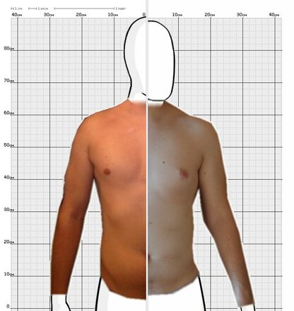 Torso Comparison