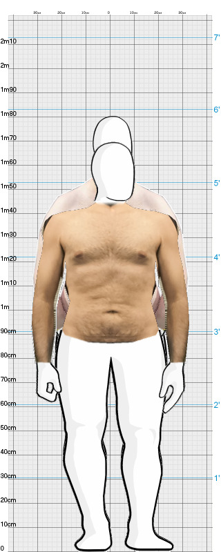 Full Size Comparison