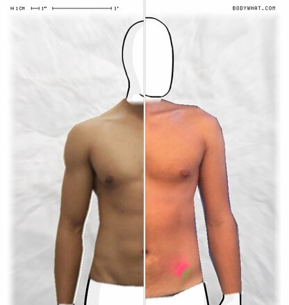 Torso Comparison