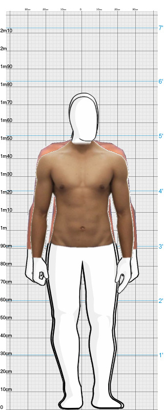 Full Size Comparison