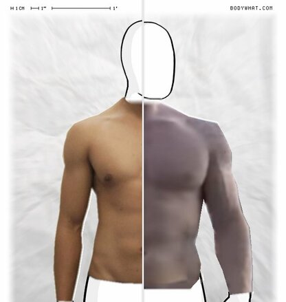 Torso Comparison