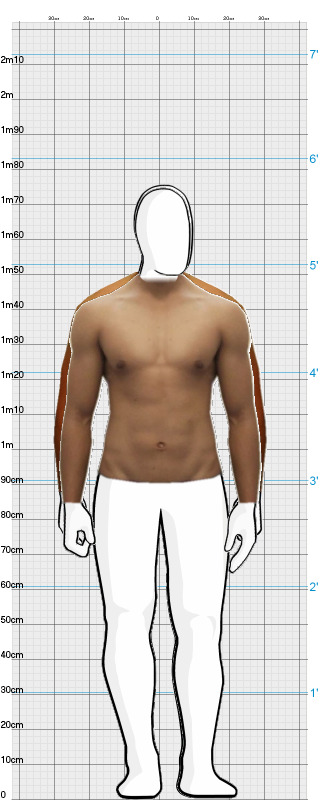 Full Size Comparison