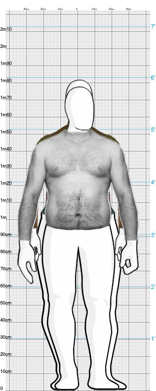 Full Size Comparison