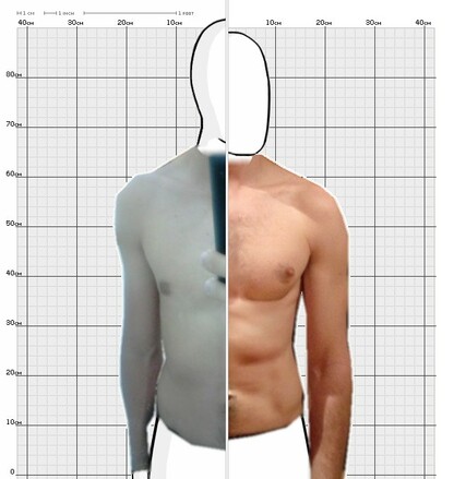 Torso Comparison