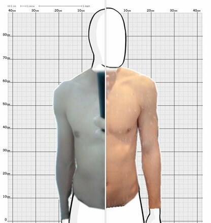 Torso Comparison