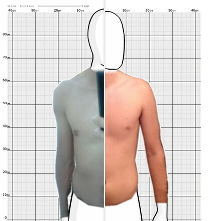 Torso Comparison