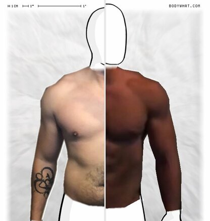 Torso Comparison