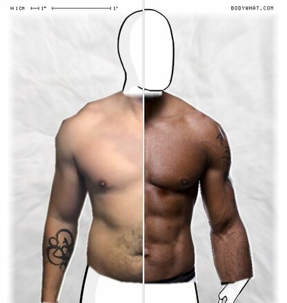 Torso Comparison