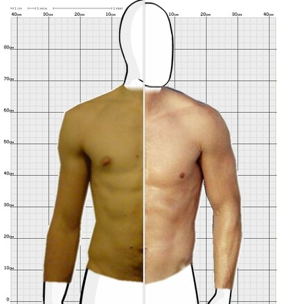 Torso Comparison