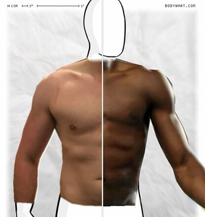 Torso Comparison