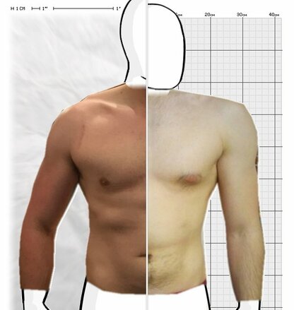 Torso Comparison