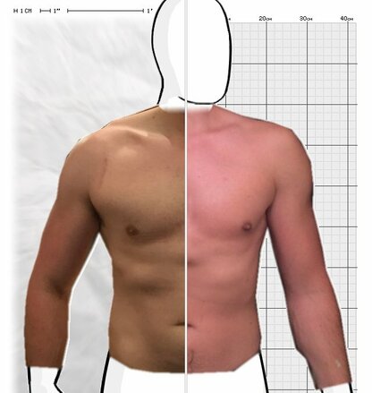 Torso Comparison